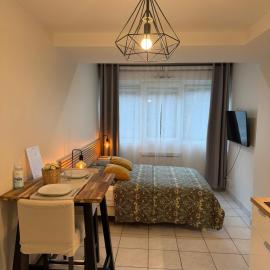 Apt Lyon Flachet, hotel in Villeurbanne
