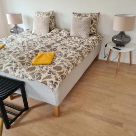 Damm Hotell، فندق في فريكشهاون