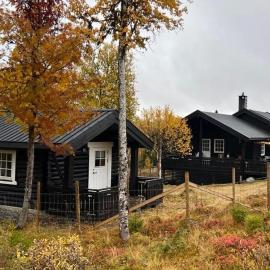 Cozy cabin on Golsfjellet west - Auenhauglie, hotel u gradu Gol