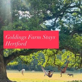 Farmstay riverside BELLTENT and activities, hotel in Bramfield