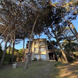 Departamentos Robette ostente-pinamar