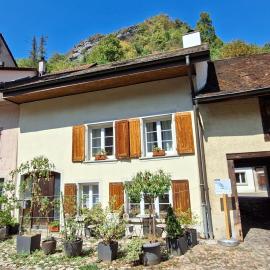 18th C Cottage near Basel, Hiking, Business, Couples, Families, Groups, Parking, Fast WiFi, Jura Mountains, hotel u gradu 'Waldenburg'