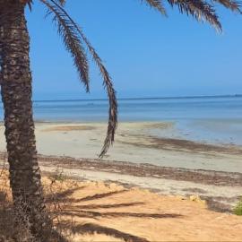 hob jerba, hotel v destinácii Djerba