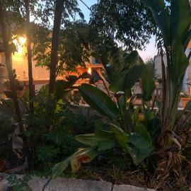 B&B Il Pino, hotell i Manduria
