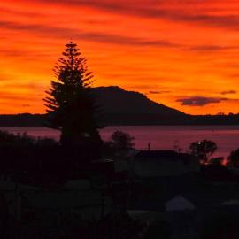 Bulavista, Hotel in Omokoroa