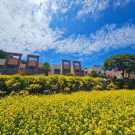 Red Castle Pension, hotel in Jeju