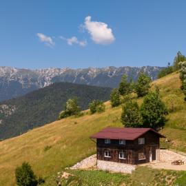 Colnic Apartament