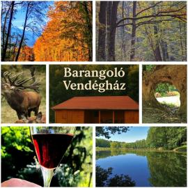 Zselici Barangoló Vendégház