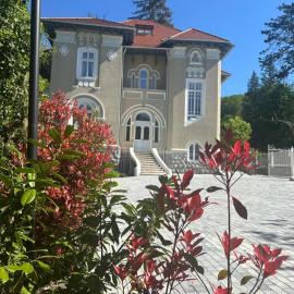 Vila Popovici, hotel em Prăjila