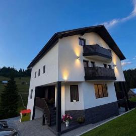 Casa Runc, hotel in Şaru Dornei