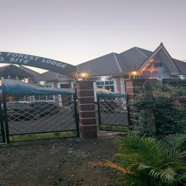 Kilimanjaro Forest Lodge and Camping Site