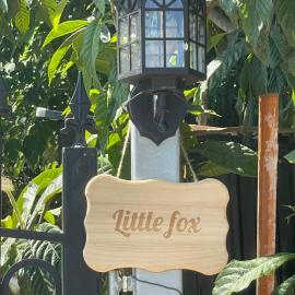 Little fox