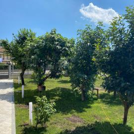 Gardenhouse Torino, hotel i Torino