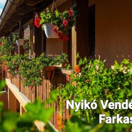 Nyiko Vendégház, hotell sihtkohas Lupeni
