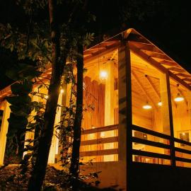 The Wild Farm El Yunque Zone Puerto Rico
