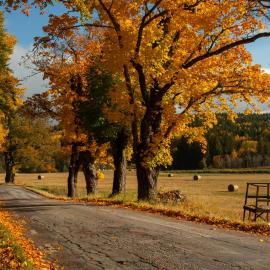 Premium Stuga, Near Göta Canal & Tiveden National Park, ξενοδοχείο σε Undenäs