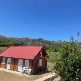 Cottage Kolomza