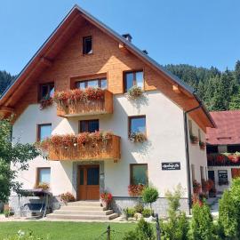 Apartments Ela, hotel in Rateče