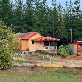 CABAÑA Willy's country club Cauquenes, hotel in Cauquenes
