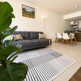 Modern Apt Near Historic Center & Airport