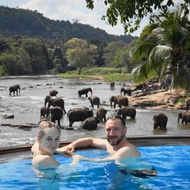 Hotel Elephant Bay - World's Best Place to See the Elephants, hotel i Pinnawala
