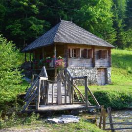 Autocamp & Apartment Snežana