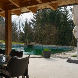 Luxury Chalet with Swimming Pond Nature Escape Upper Austria