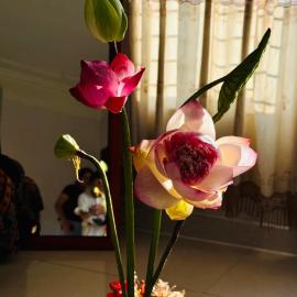 Phố Núi Homestay Cao Bằng