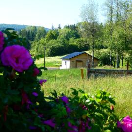 Horse Meadow Cottage, hotel a Sussex