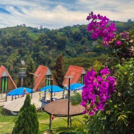 Ecohotel Java, hotel en Manizales