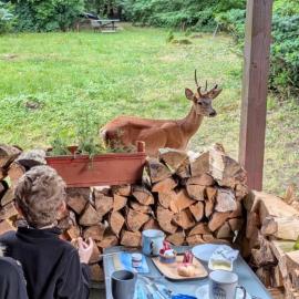 Blockhäusl am Jonsberg