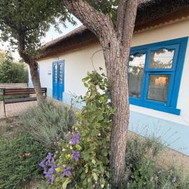 The House of Flowers, hotel in Palanca
