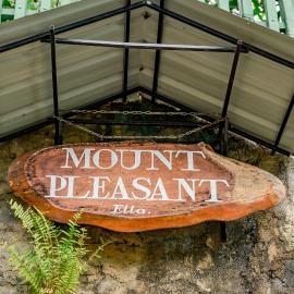 MOUNT PLEASANT ELLA
