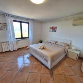 Apartment Burja with Olive Grove & Salt Pans View