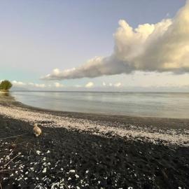 Fare Taitua، فندق في Papara