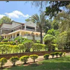 Ilemi Gardens