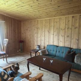 Mountain idyll in Tisleidalen - skiing, hiking and fishing