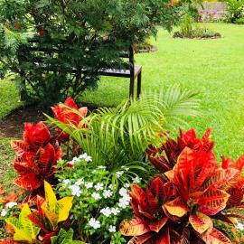 Hotel Jardines Lodge, hotel em Tanque