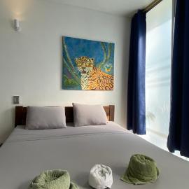 Amazonas magic, hotel Leticiában