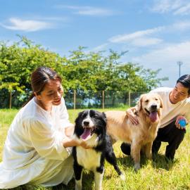 Kunisaki Forest and Sea Dog Resort, מלון בKunisaki