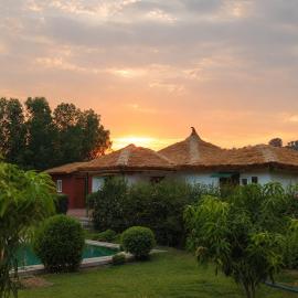 Homestead thapli, hotel a Pinjaur