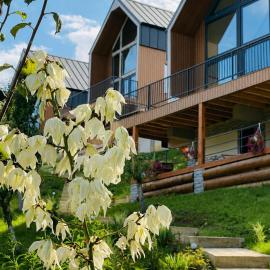 Triovista Chalets, Hotel in Nehoiu