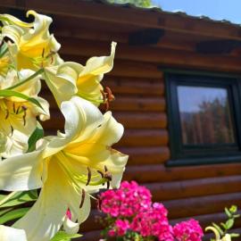 EtnoPetra, hotel in Mojkovac