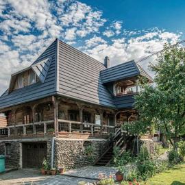 Pensiunea Casa Traditionala Borlean