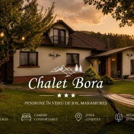 Chalet Bora, hotel in Vişeu de Jos