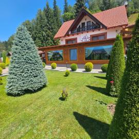 Casa la munte, hotel in Bilbor