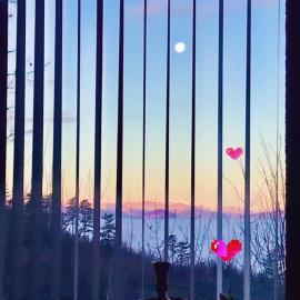 Olywood Sunset