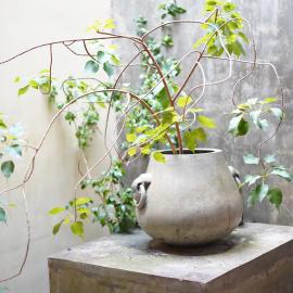 Baranada Ayurvedic Wellness Retreat Center