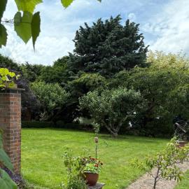 River Garden View, hotel in Beccles