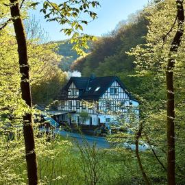 Urlaub in alter Mühle - Natur & Wellness